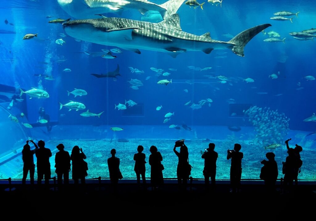 Aquarium